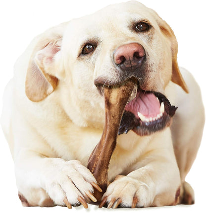 Healthy Edibles Wild Dog Treats, Venison Flavor, Large | Natural Dog Chew Bones, Made in USA, Highly Digestible Dog Chews, Long Lasting Chews for Large Dogs up to 50 Lbs