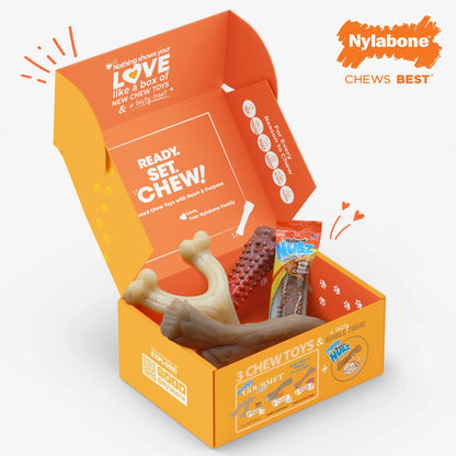 Dog Toy Gift Box, Includes 3 Dog Chew Toys and 1 Dog Treat, Large Dogs, 4 Pack