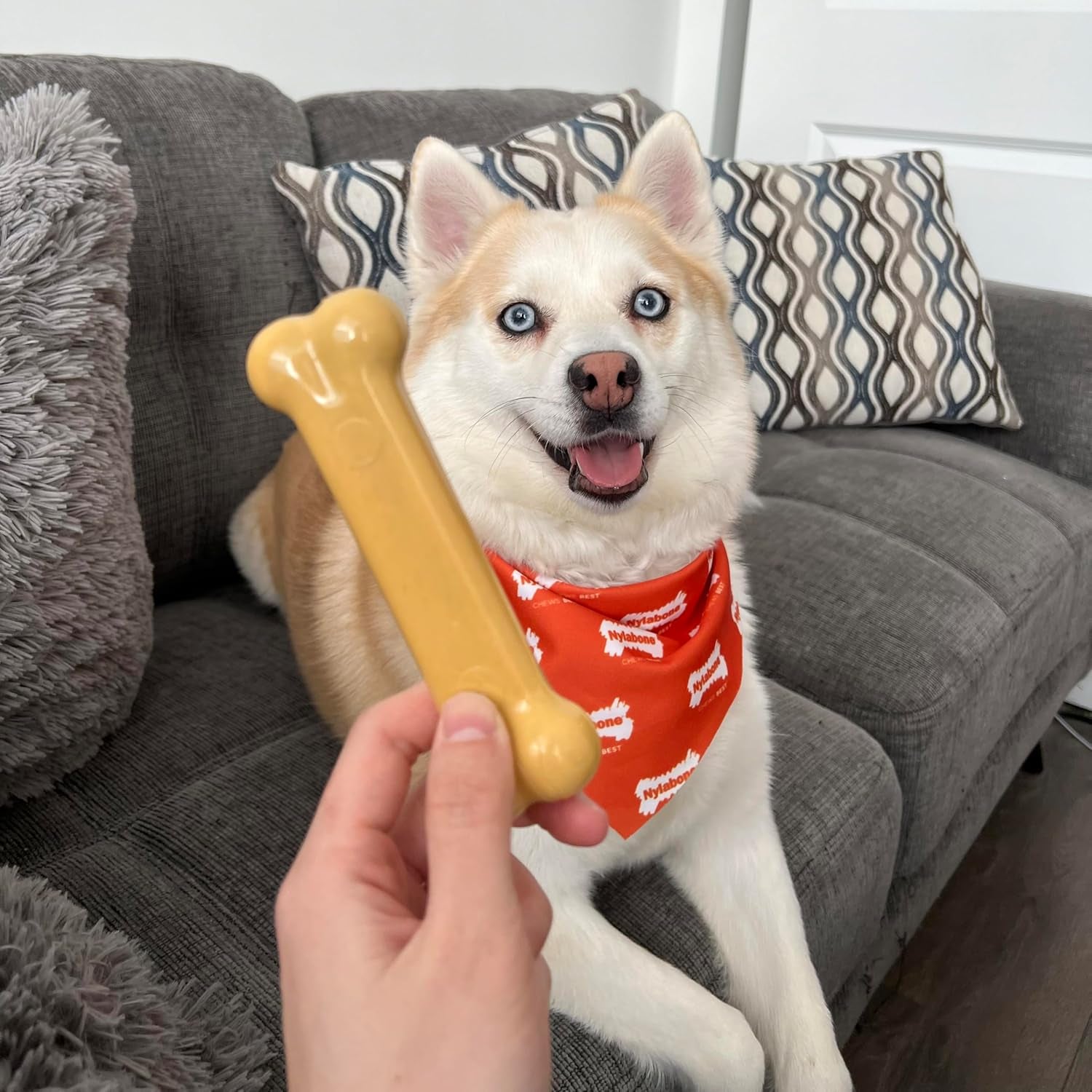 Power Chew Customer Favorites Dog Chew Toys, 3 Count, Small | Flavor Medley, Peanut Butter, and Beef Flavor, Durable Dog Toys for Aggressive Chewers, for Large Breeds up to 25 Lbs
