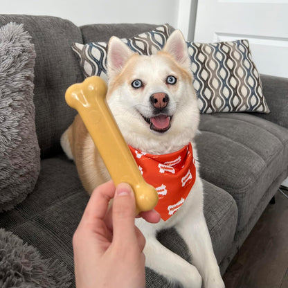 Power Chew Customer Favorites Dog Chew Toys, 3 Count, Small | Flavor Medley, Peanut Butter, and Beef Flavor, Durable Dog Toys for Aggressive Chewers, for Large Breeds up to 25 Lbs