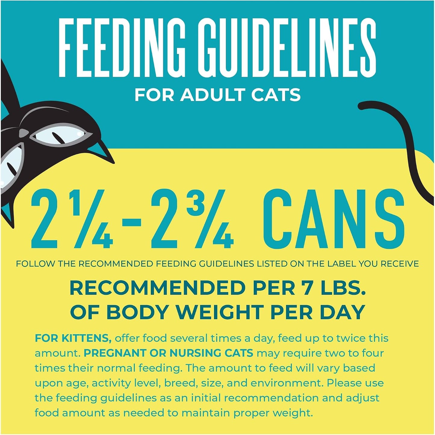 Tiki Cat Seafood Selects Variety Pack, High Protein with Real Flaked Fish, Wet Cat Food Mega Pack for Adult Cats, 2.8Oz. Can (24 Count)