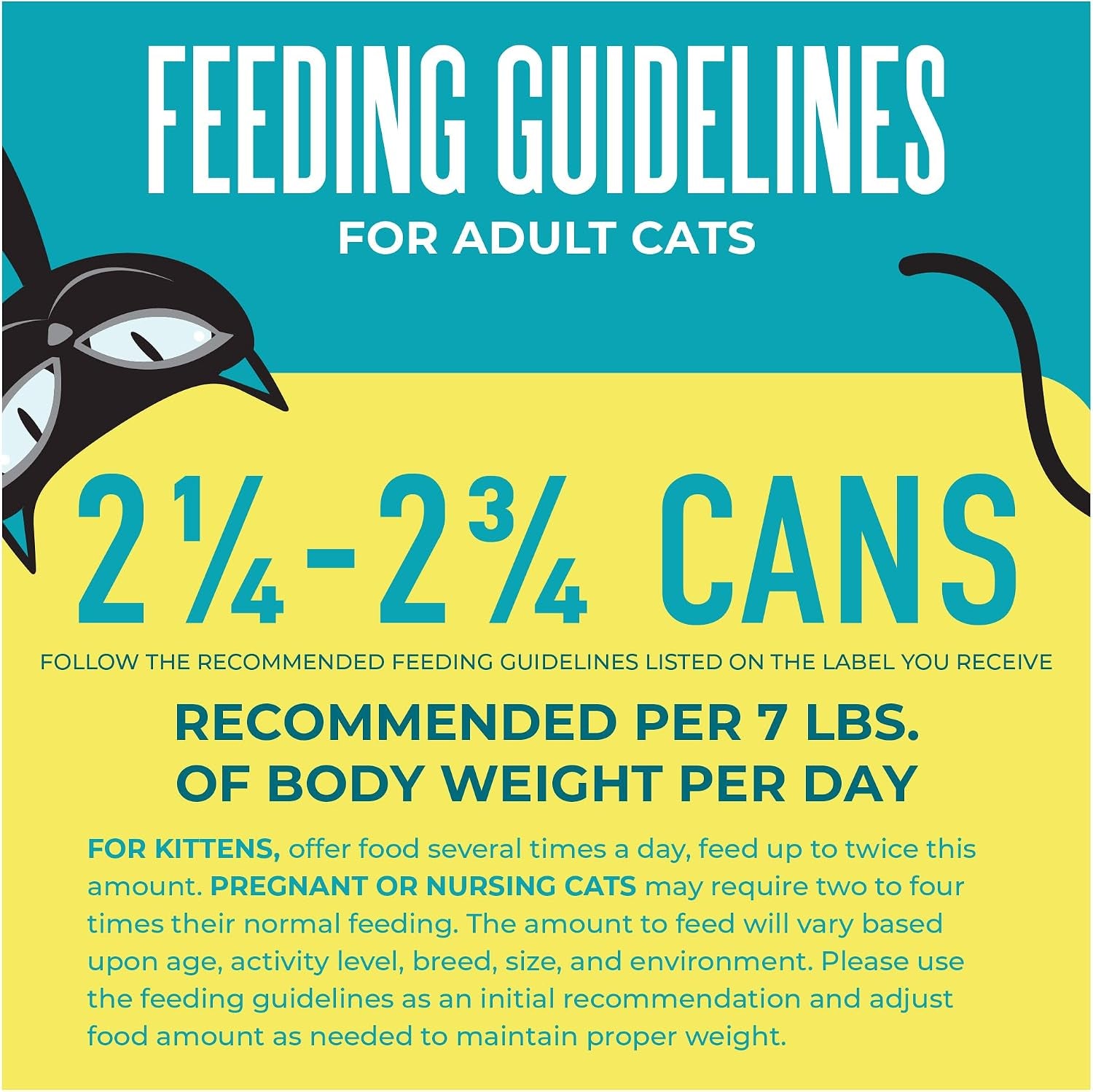 Tiki Cat Seafood Selects Variety Pack, High Protein with Real Flaked Fish, Wet Cat Food Mega Pack for Adult Cats, 2.8Oz. Can (24 Count)