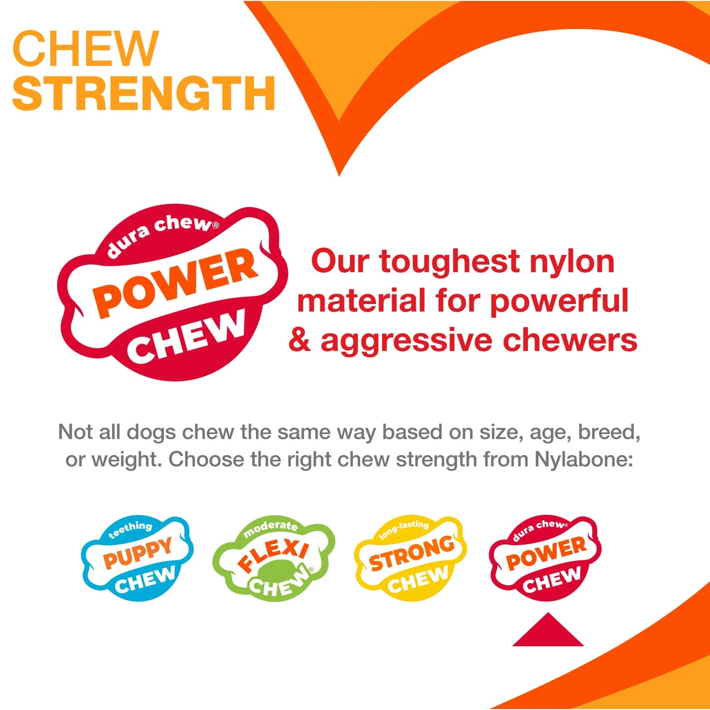 Power Chew Dental Dinosaur Dog Toy, Dog Chew Toy, Chicken Flavor, Large, 1 Count